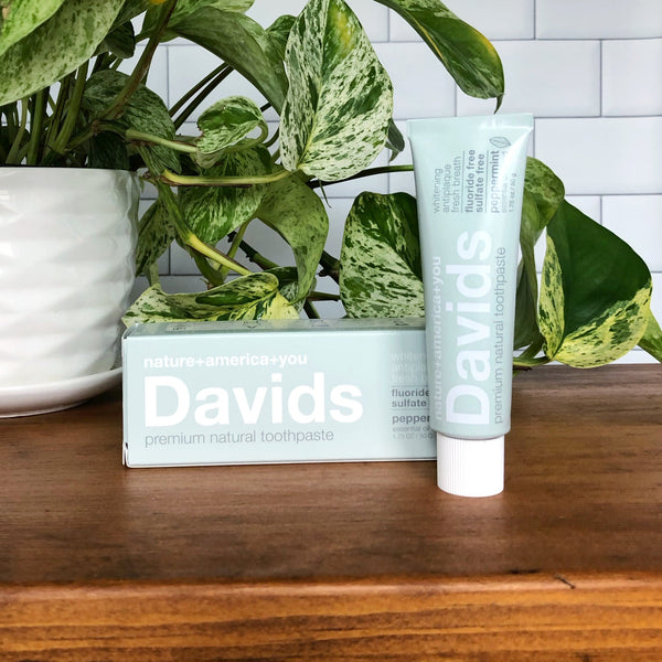 David's Natural Toothpaste - travel size