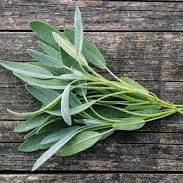 Sage, Fresh Herb, Organic