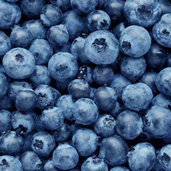 Blueberries, Organic, 1 pint