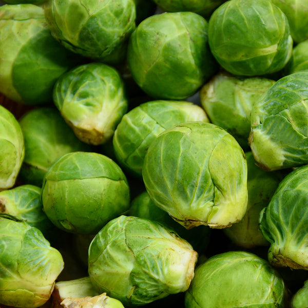 Brussels Sprouts, Organic, 1 lb.