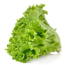 Lettuce, Green Leaf, LOCAL Organic,1 head