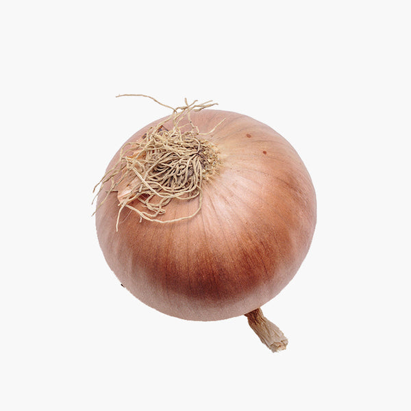 Onion, Jumbo White, Organic