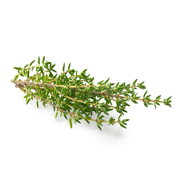 Thyme, fresh herb, Organic